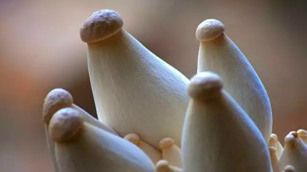 http://yddlt.cn/ewebeditor/uploadfile/20170914091357269001.png