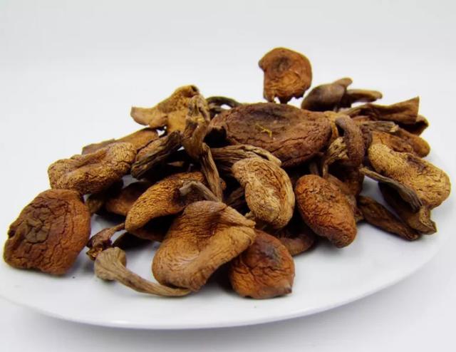 國(guó)家蘑菇地理：中國(guó)哪里的蘑菇最好吃？