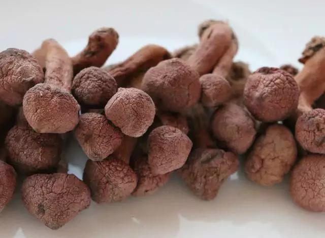 國(guó)家蘑菇地理：中國(guó)哪里的蘑菇最好吃？