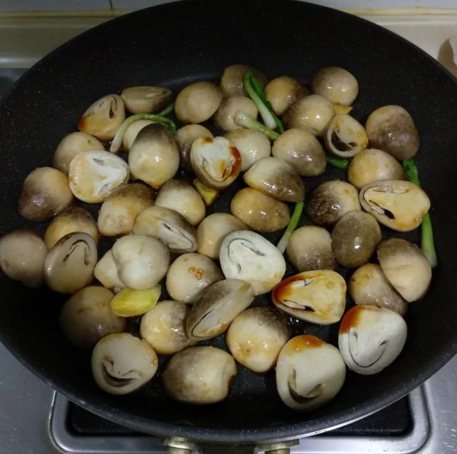 國(guó)家蘑菇地理：中國(guó)哪里的蘑菇最好吃？